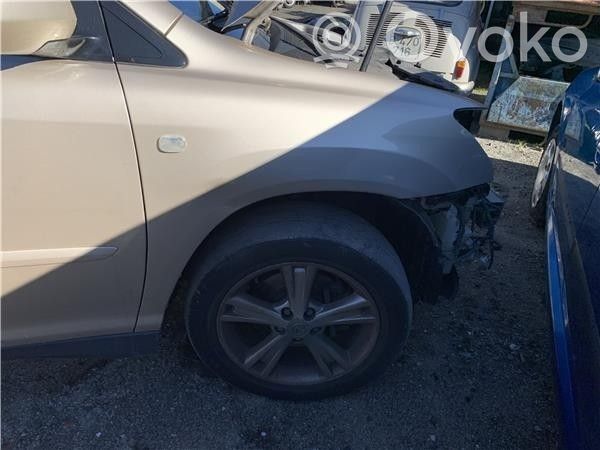 Guardabarro   5381148080