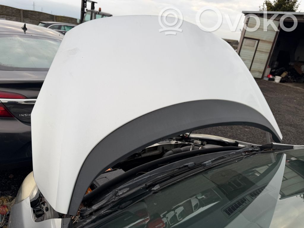 Engine bonnet/hood
