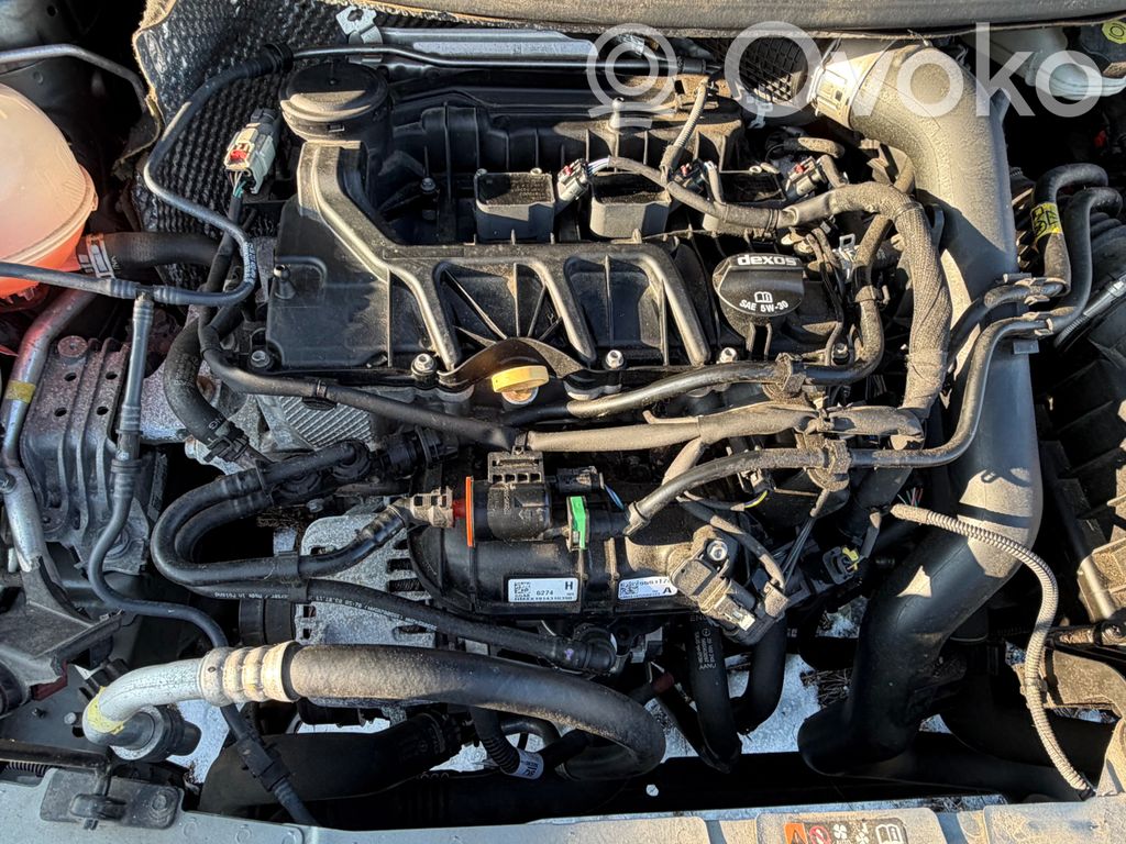 Motor   F12SHT