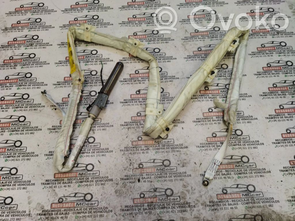 Airbag del techo   84696383503J