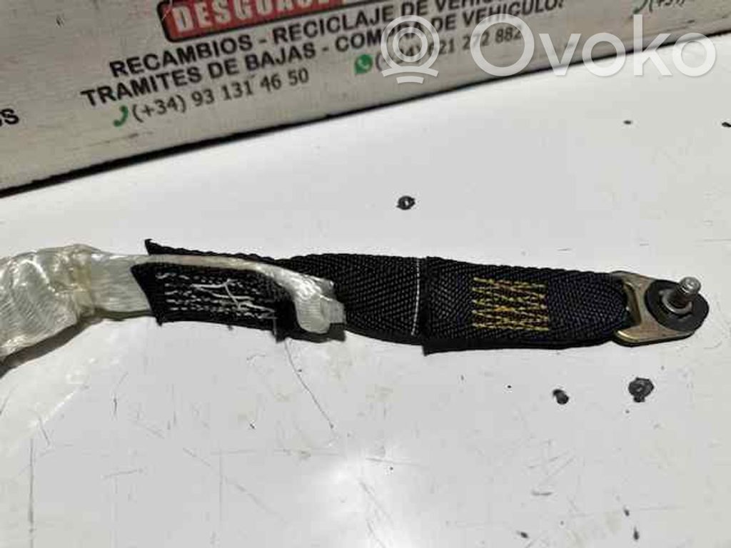 Airbag del techo   847075129012