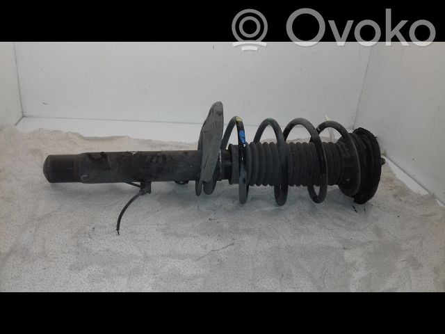 Stoßdämpfer vorne   9801736280