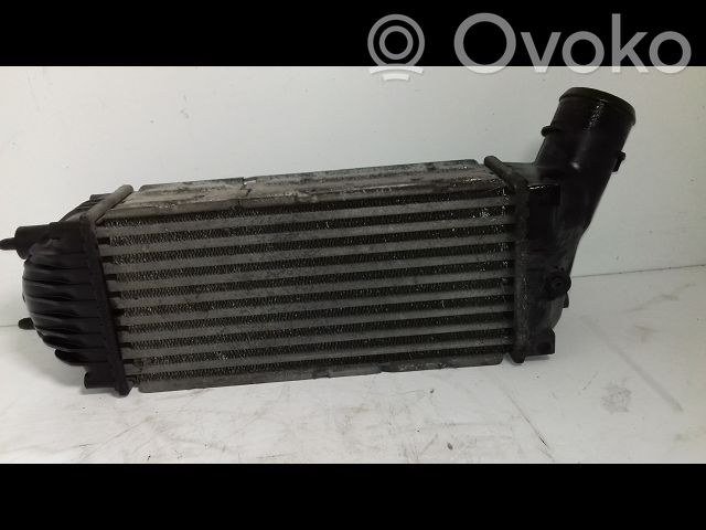 Peugeot 307 Intercooler radiator 