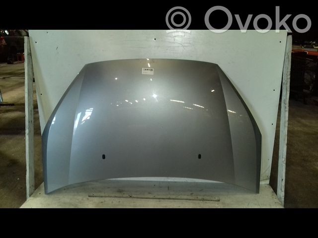 Capó/tapa del motor   1569486