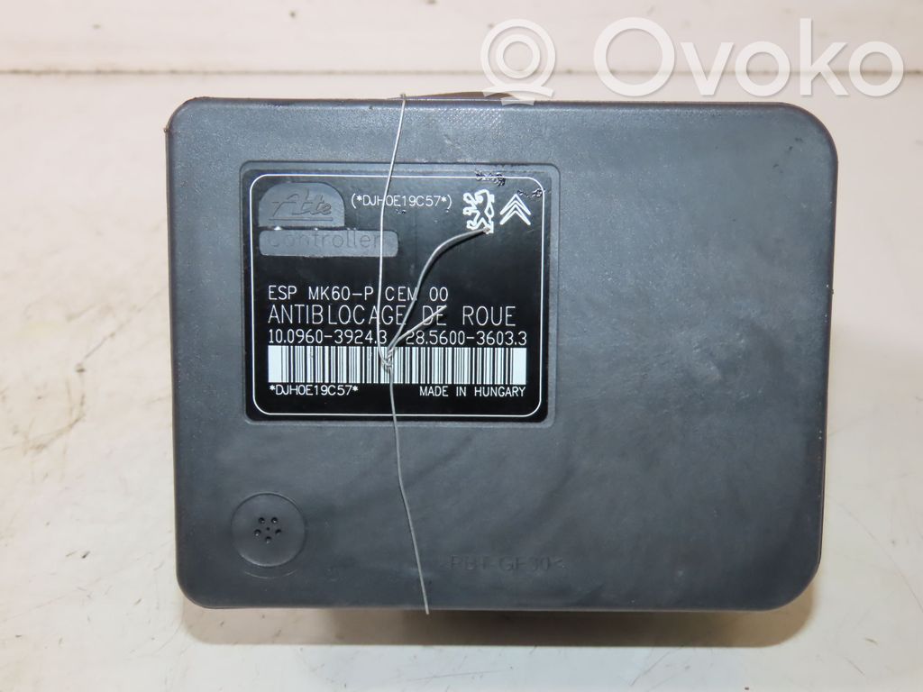 ABS bloks   4541QW