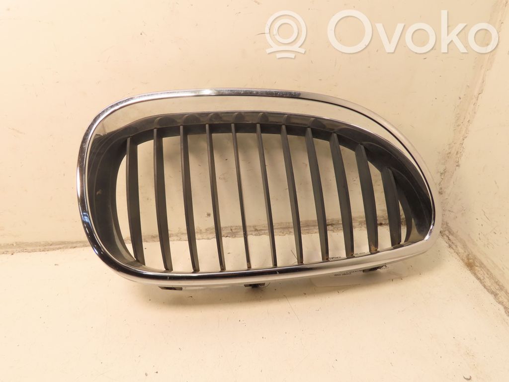 Front grill   51137027062