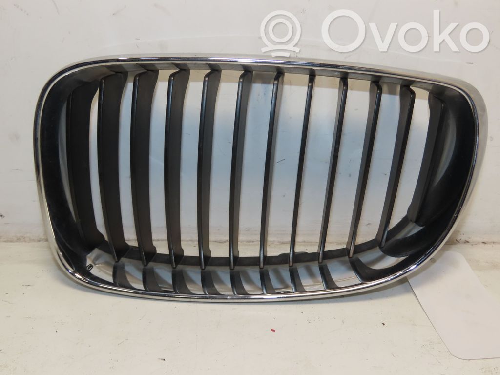 Front grill   51137166439