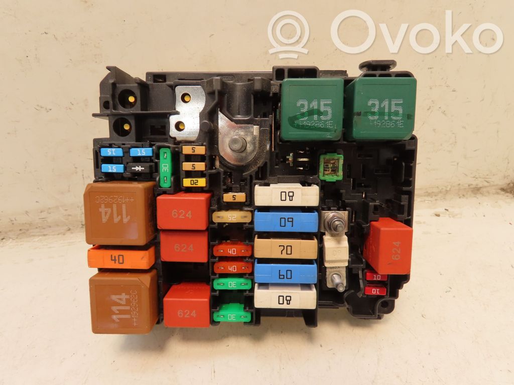 BSM Control unit   9804848480