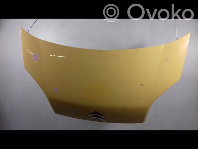 Capó/tapa del motor   7901Q1