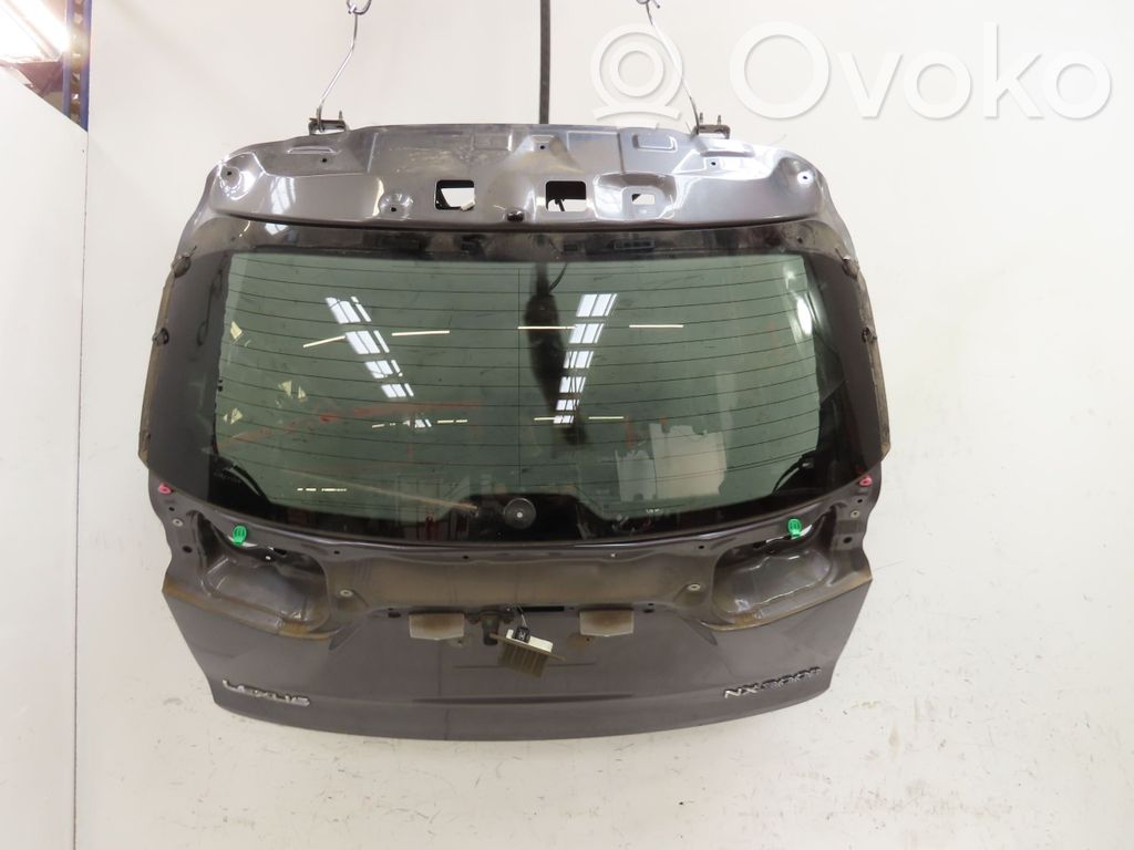 Tailgate/trunk/boot lid   6700578050