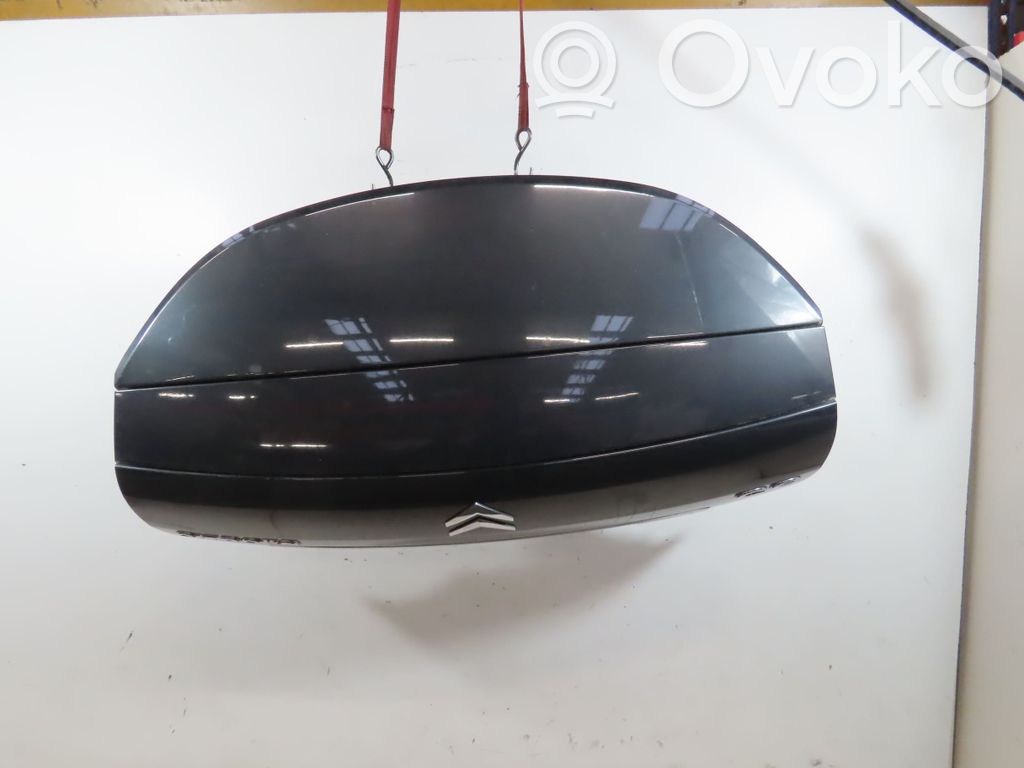 Tailgate/trunk/boot lid   860685