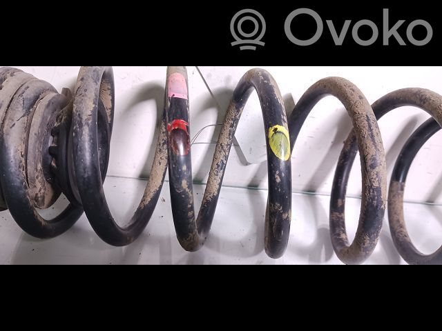 Rear coil spring   5102AR