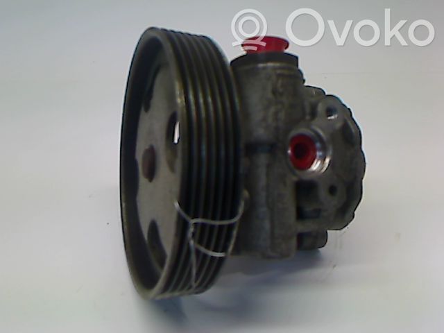 Servopumpe