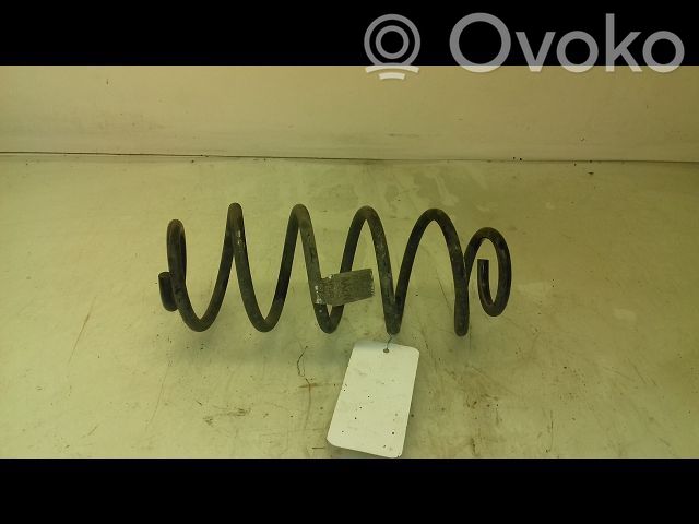 Rear coil spring   42469578