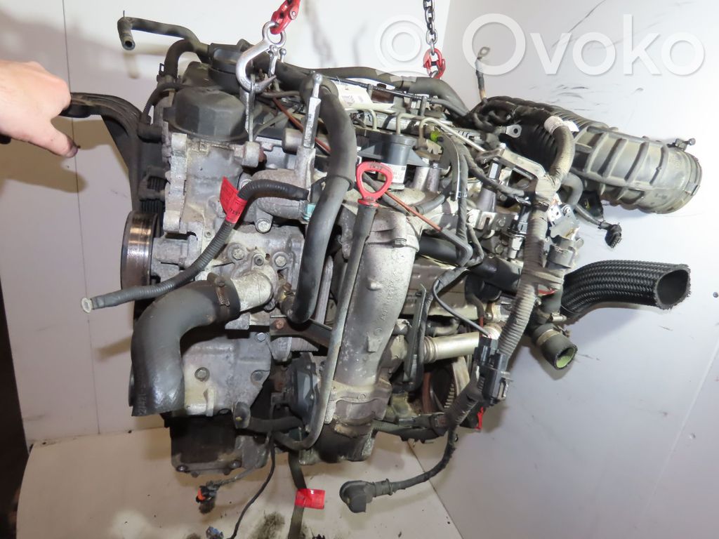SsangYong Korando Motor 