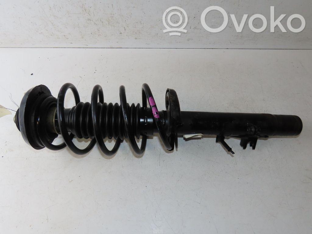 Front shock absorber/damper   5202SN