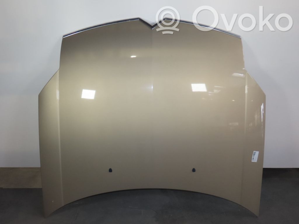 Dzinēja pārsegs (vāks)   790143