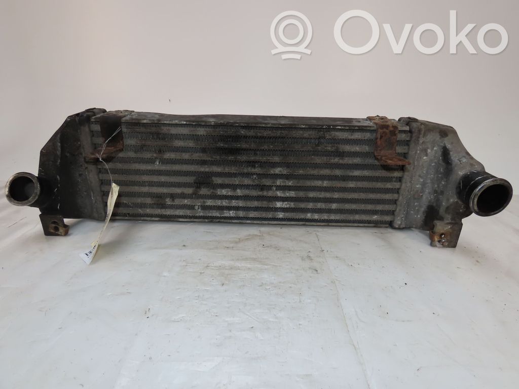 Interkūlerio radiatorius   5179464AA