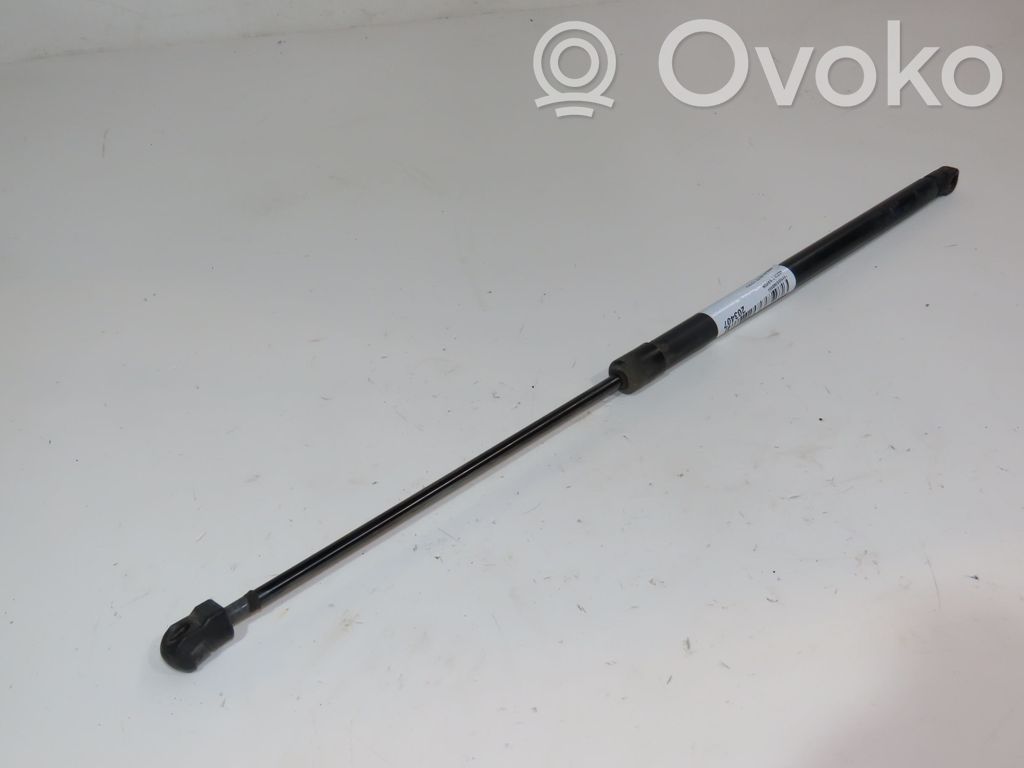 Tailgate/trunk strut/damper   904503VV0B