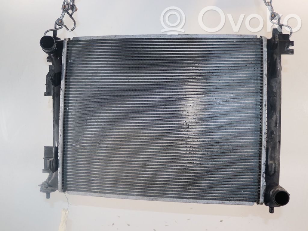 Coolant radiator   25310H8300