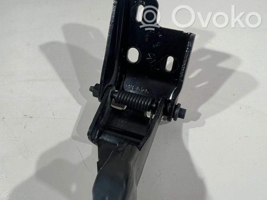 Chrysler Pacifica Rear door lower hinge 