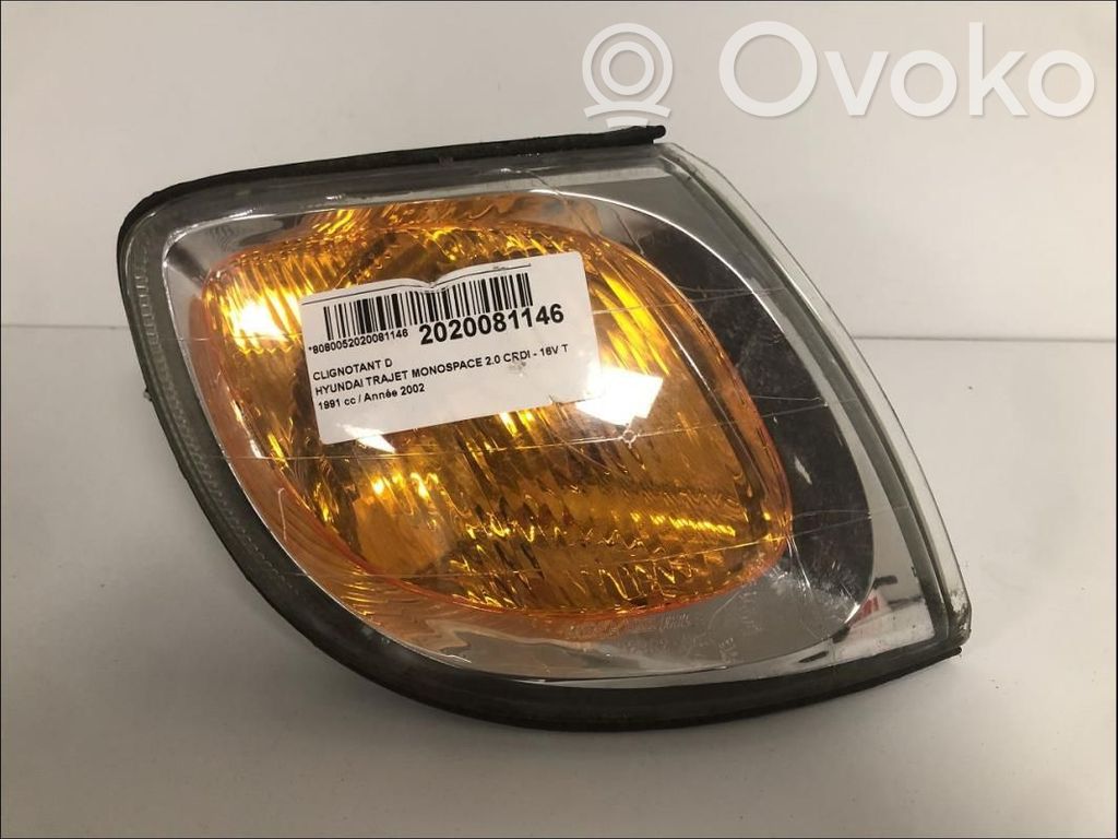 Hyundai Trajet Front fender indicator light 