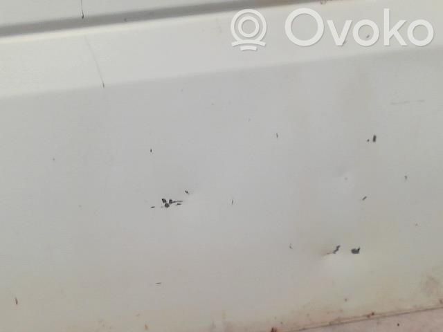 Ford Transit Krovinių (bagažinės) durys 