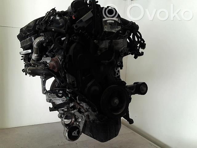 Motor   0135SW