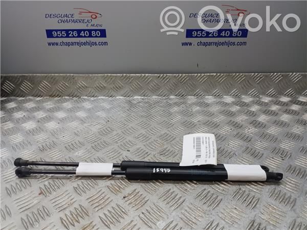BMW 1 F20 F21 Amortiguador del maletero/compartimento de carga 
