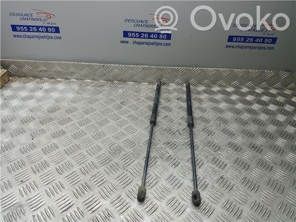Mini One - Cooper R50 - 53 Tampon hayon/capotă portbagaj