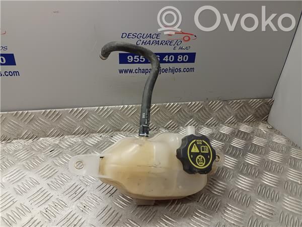 Vase d'expansion de carburant