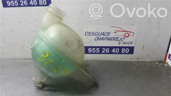 Peugeot 207 Vas expansiune combustibil 