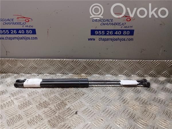 Dacia Lodgy Tampone in gomma portellone posteriore/bagagliaio 