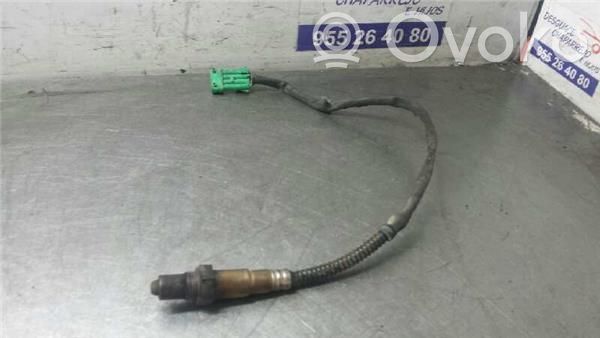 Sonde lambda   258006027