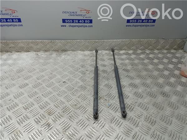 Tailgate/trunk/boot lid buffer