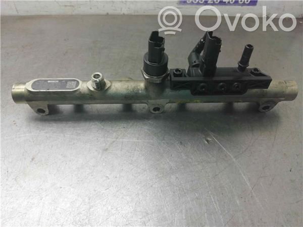 Fiat Scudo Rampa inyectora 