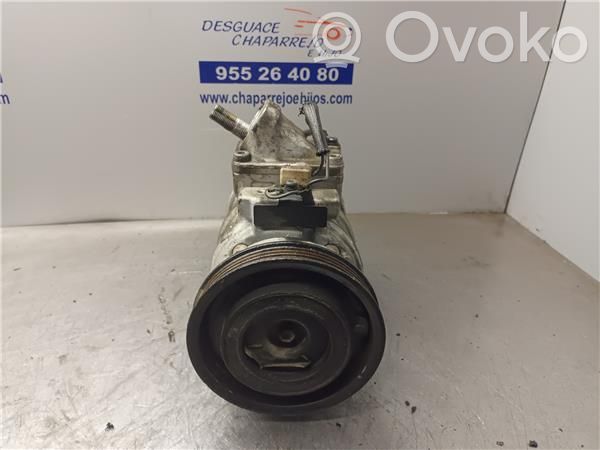 Klimakompressor Pumpe   4472003393