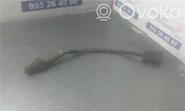 Sonda lambda   258006206