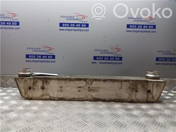 Radiador intercooler   17007787446