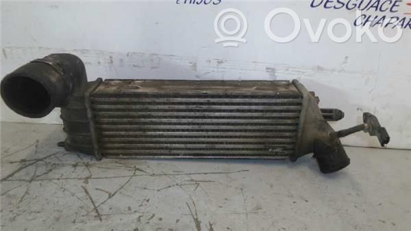 Radiator intercooler   1489396080