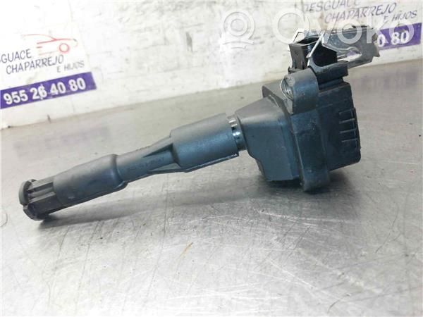 High voltage ignition coil   221504004