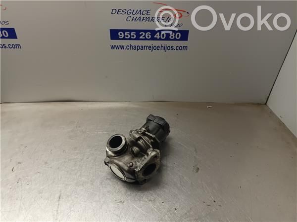 Fiat Scudo Valvola EGR
