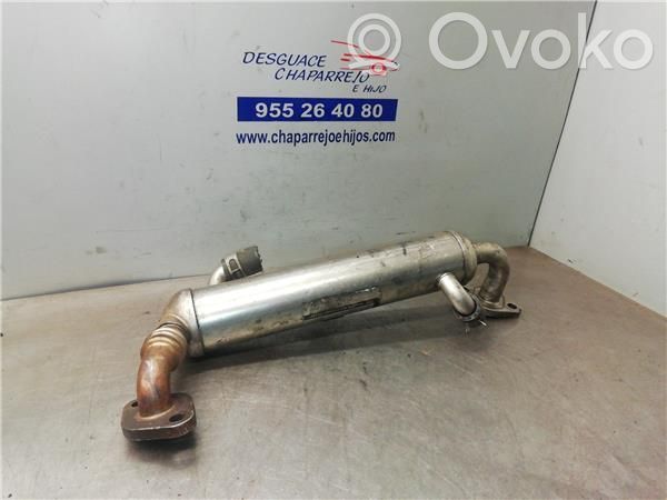 Răcitor supapă EGR   8973635152