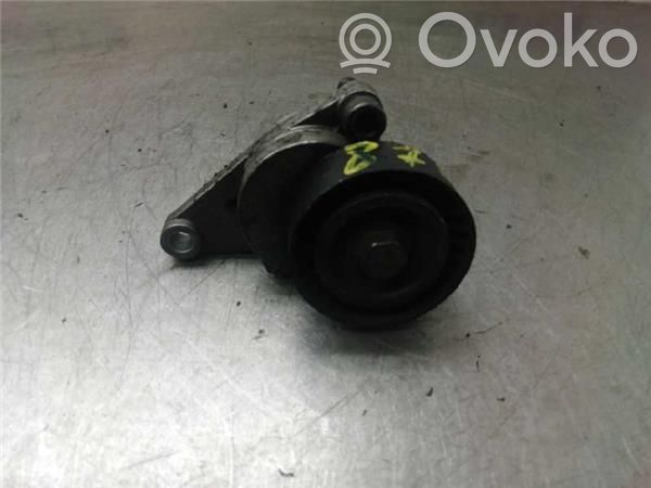 Citroen C4 I Întinzător curea generator/alternator