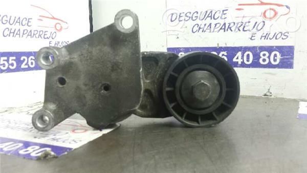 Peugeot 307 Tendicinghia generatore/alternatore 