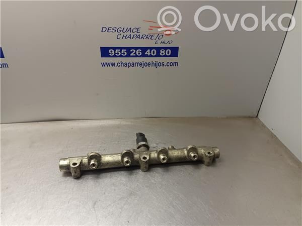 Rampa inyectora   445214017