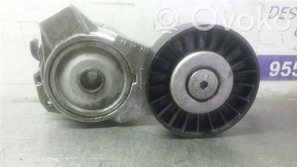 Tendicinghia generatore/alternatore   4898755