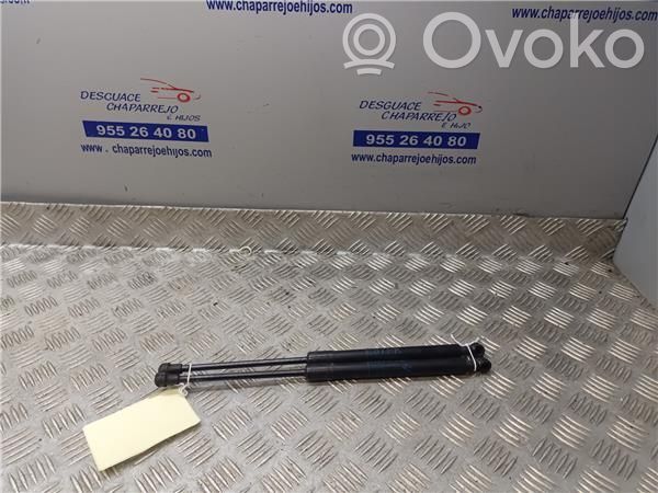 Amortizor capotă motor   51237118370