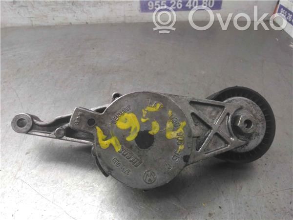 Skoda Octavia Mk1 (1U) Întinzător curea generator/alternator