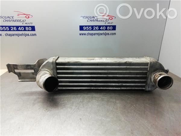 Radiador intercooler   52401245